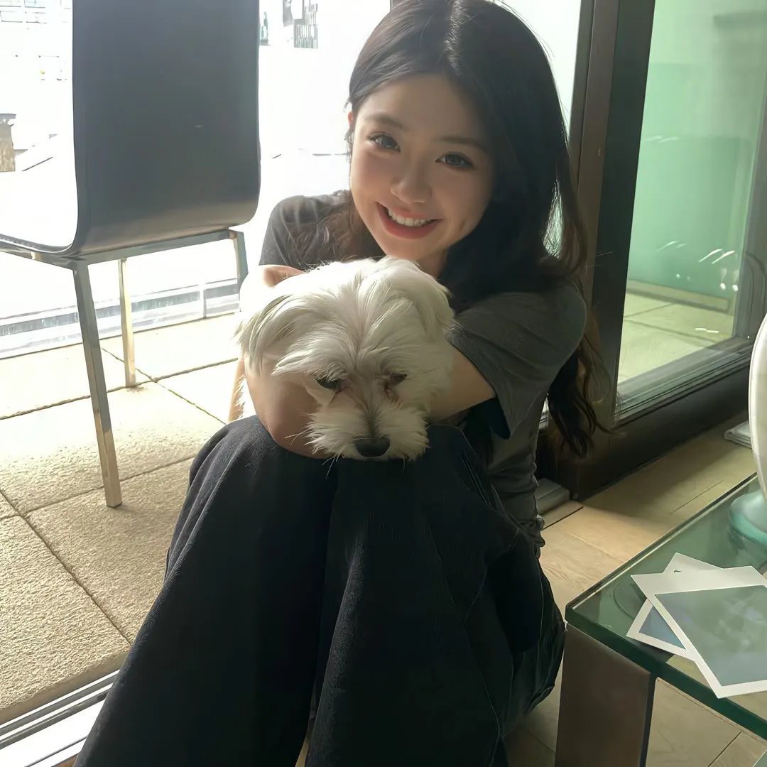 鬣狗式生存